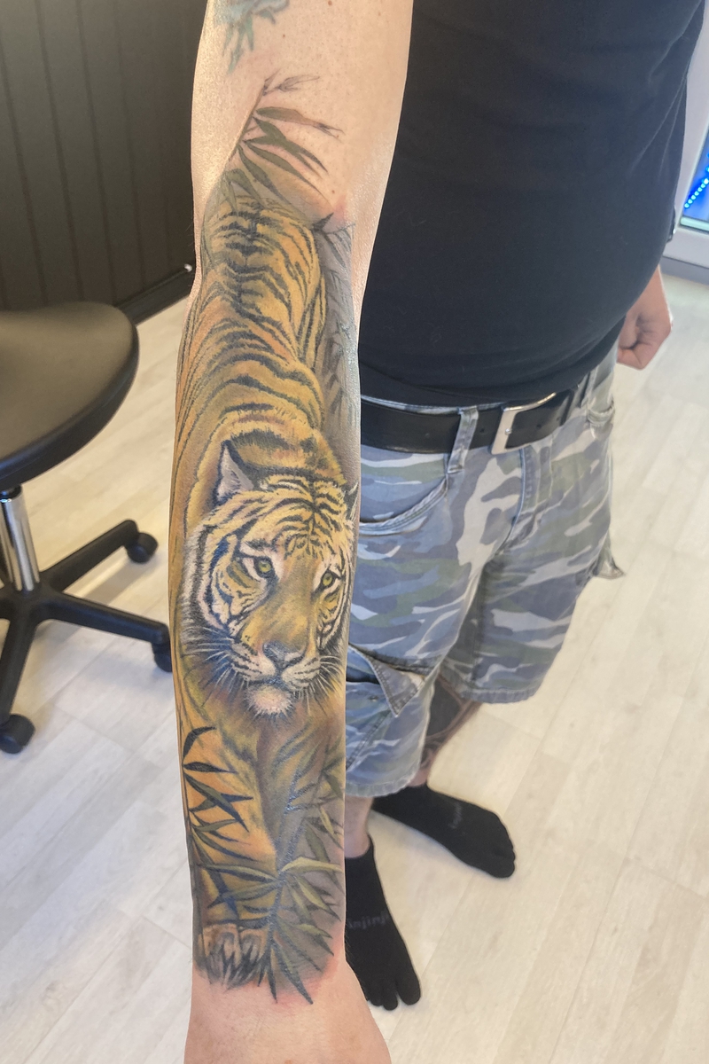 yellow tiger Image
