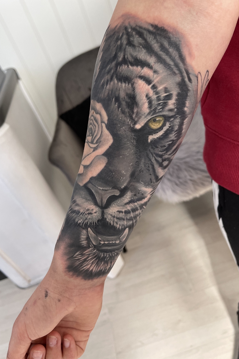 tiger Image