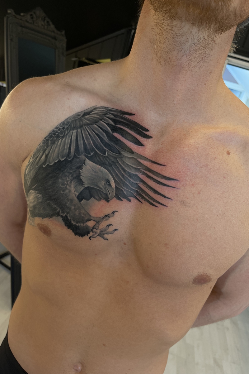 eagle Image