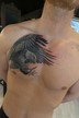 eagle